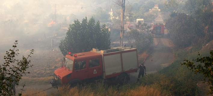 Σε πλήρη εξέλιξη πυρκαγιά στα Φάρσαλα – Στο σημείο 16 πυροσβέστες και 5 οχήματα